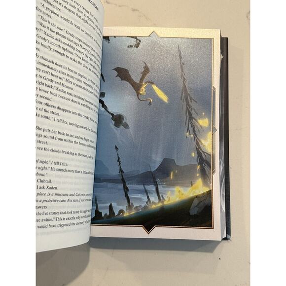 Onyx Storm Rebecca Yarros Target Exclusive Limited Edition Hardcover New W/PIN - Picture 5 of 13